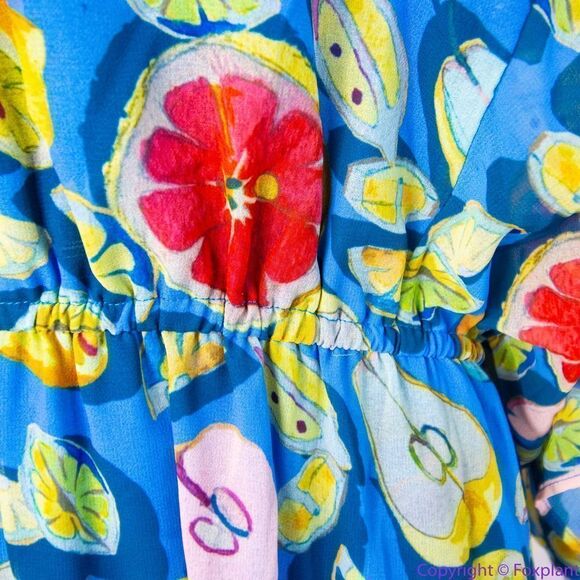 Anthropologie Blue Fruit Print High Low Dress - Picture 14 of 16